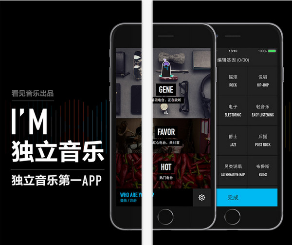 IM独立音乐IOS版图2