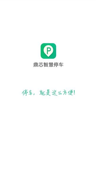 路边停车app图1