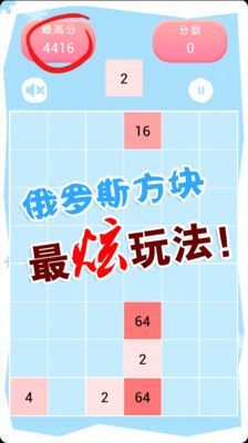 俄罗斯方块2048游戏图2