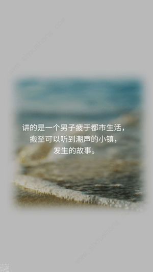 潮声小镇游戏图2