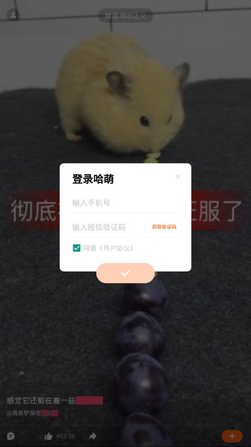 哈萌视频app图1