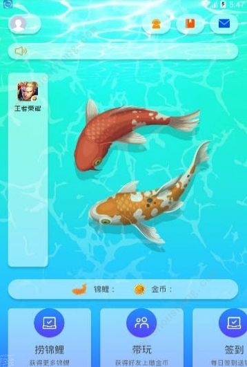 淘锦鲤app图1