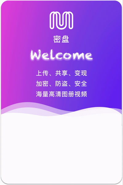 密盘app图1