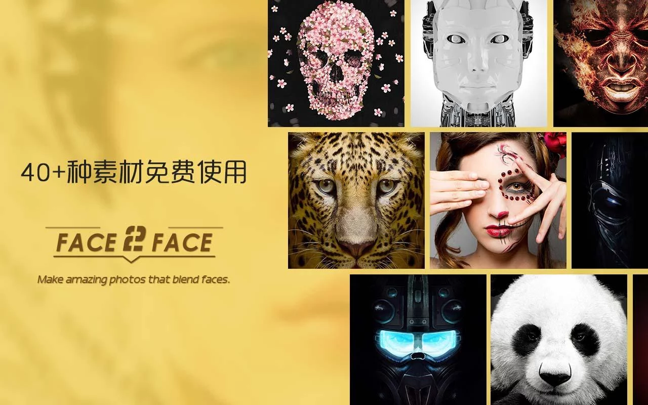 Face2Face ai变脸图1