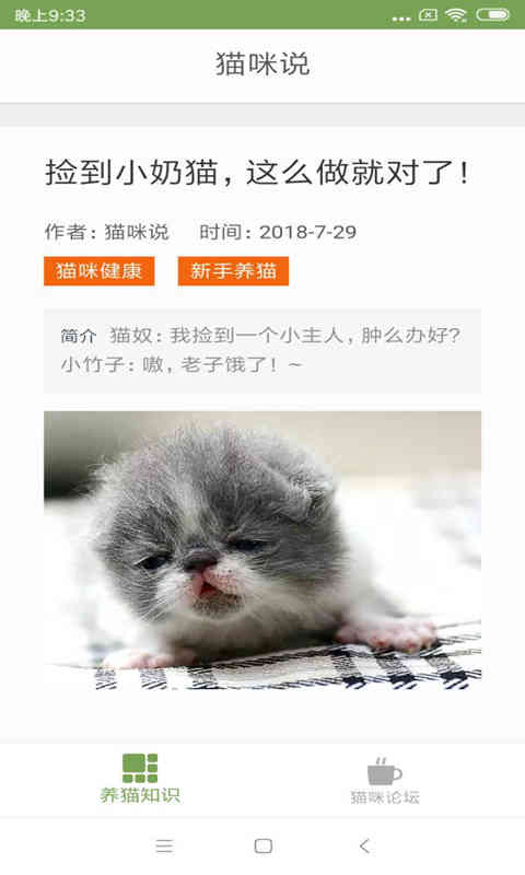 猫咪生活圈手机版图2