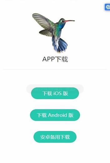 蜂鸟通证app图1