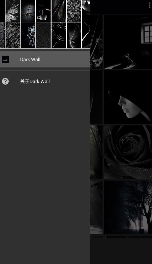 Dark Wall软件图3