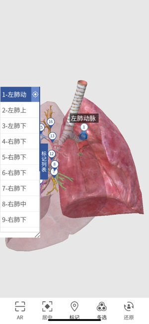 3D人体解剖图谱app图片4