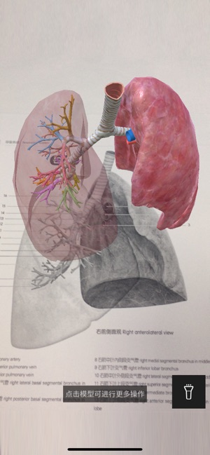 3D人体解剖图谱app图片1