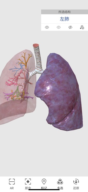 3D人体解剖图谱app图片3