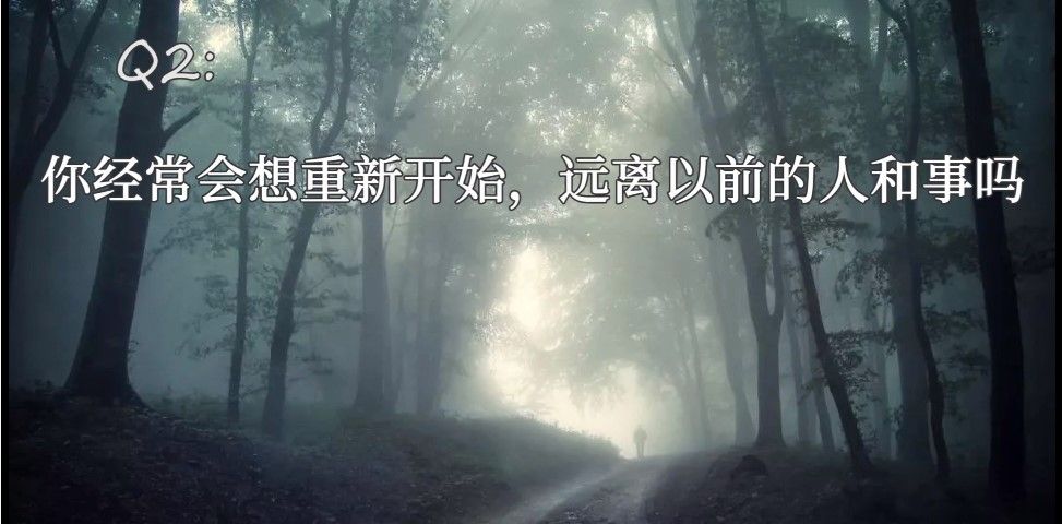 你有几分真实几分虚假测试图2