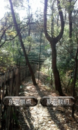 东莞旅游景点大全图2